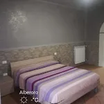 New Lifestyle Alberoro