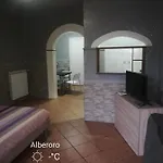 New Lifestyle Alberoro