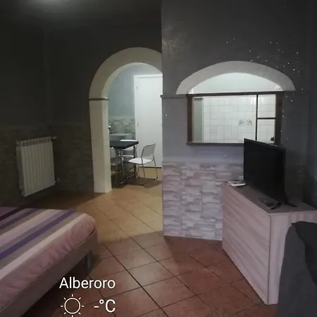 New Lifestyle Alberoro