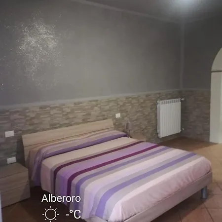 New Lifestyle Alberoro